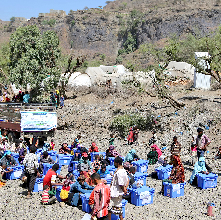 Aquabox Distribution in Yemen