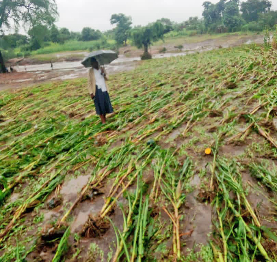 Malawi Jan floods 2026 2
